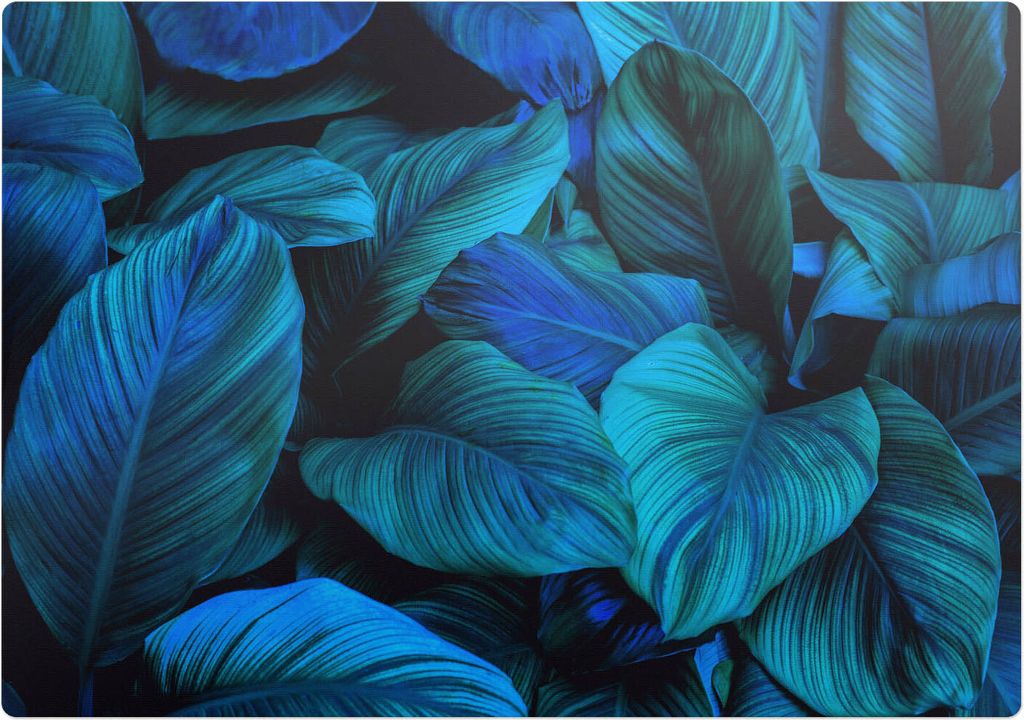 Tropische Blätter – Bodenschutzmatte – Stuhlunterlage 100x70 cm – Rutschfest – Hartbodenmatte