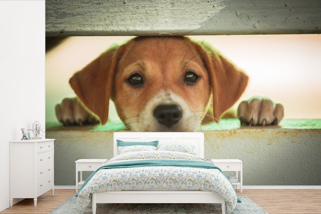 MuchoWow Fototapete für Wohnzimmer oder Schlafzimmer Wandtapete Vinyl Motivtapete Ein Welpe schaut durch einen Zaun - 600x400 cm - Vinyltapeten