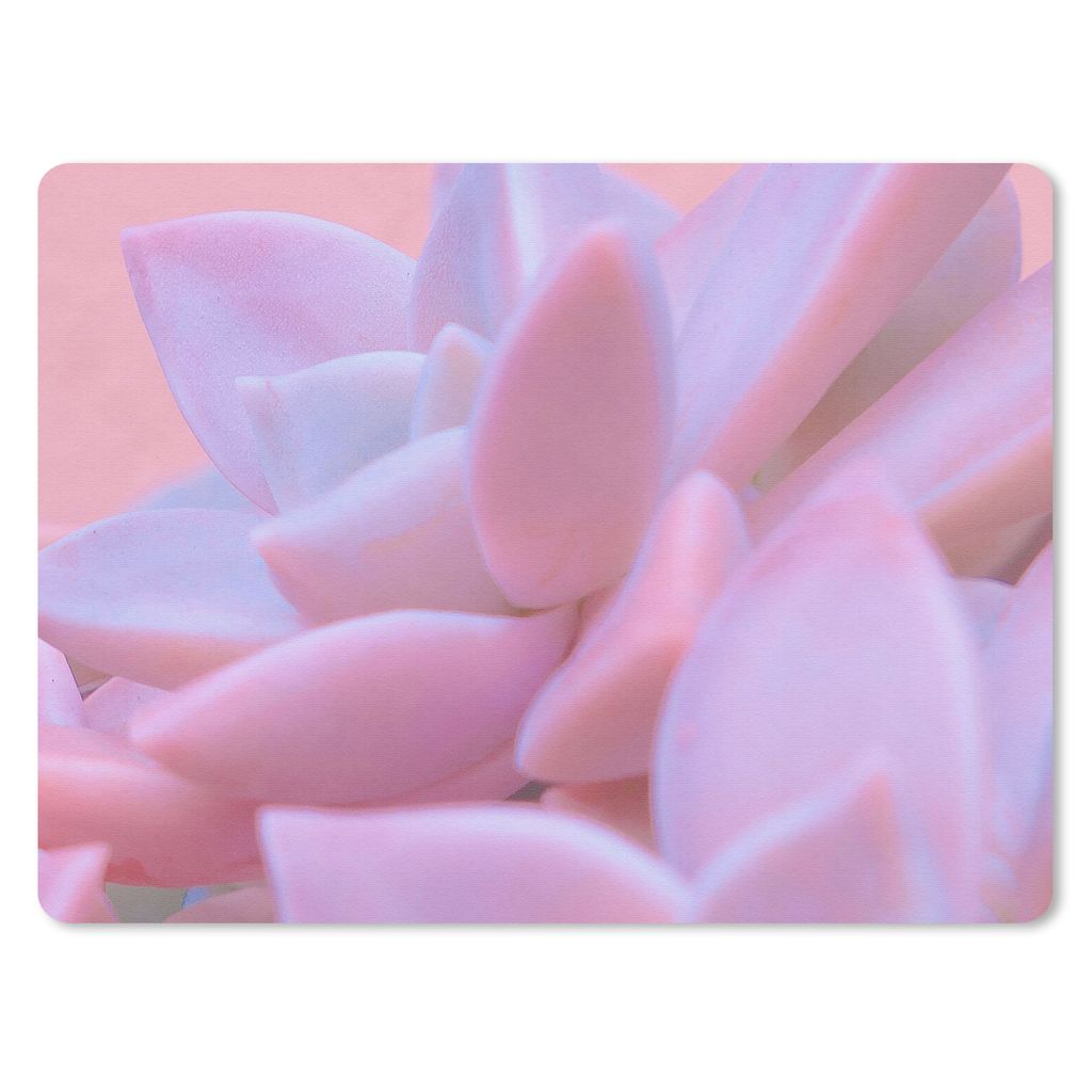MuchoWow Mauspad Mousepad Sukkulente - Sommer - Rosa - Pflanzen 40x30 cm - Mousepads - Maus Mat - Pad - Mausunterlage - Anti Rutsch