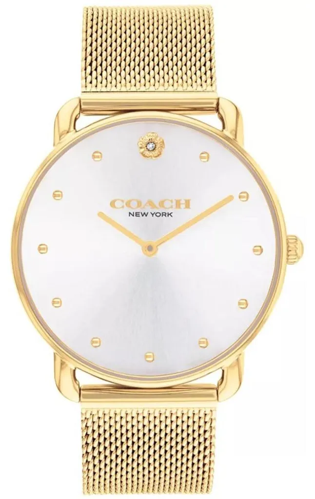 Montre Coach Elliot 14504208 pour Femme en Acier Inoxydable Argenté
