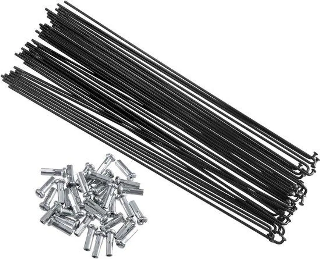 Rayons en acier 14G 222 mm avec écrous pour roue de vélo de ville
