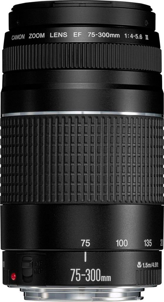 A close-up studio shot of a Canon EF 75-300mm telephoto zoom lens.