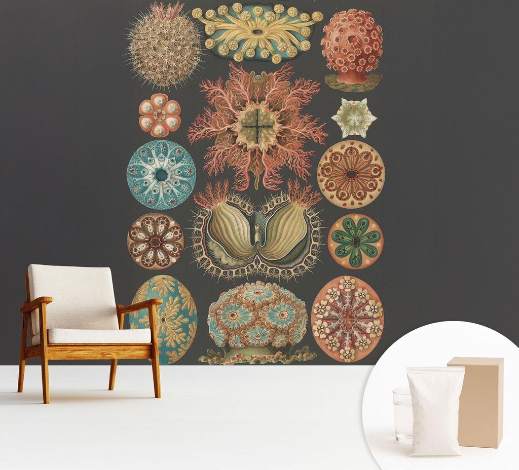 Fototapete - 312x219 cm - Tapete - Wandtapete - Wandbilder - Dekofolie - Tapete Folie - Wand - Dekoration - Wohnzimmer - Inspirationen aus dem Meer