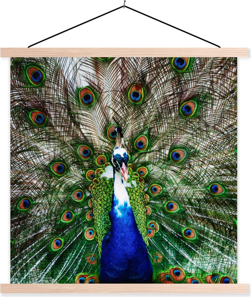 MuchoWow Textilposter Pfau - Federn - Vitiligo 60x60 cm mit holzfarbenen Rahmen - Wanddekoration