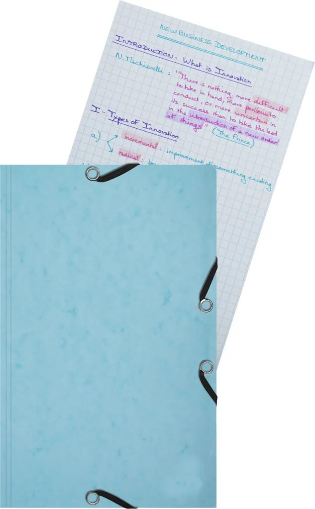 Lot Exacompta 10 Chemises 3 Rabats Coloris Assortis avec 25 Fiches