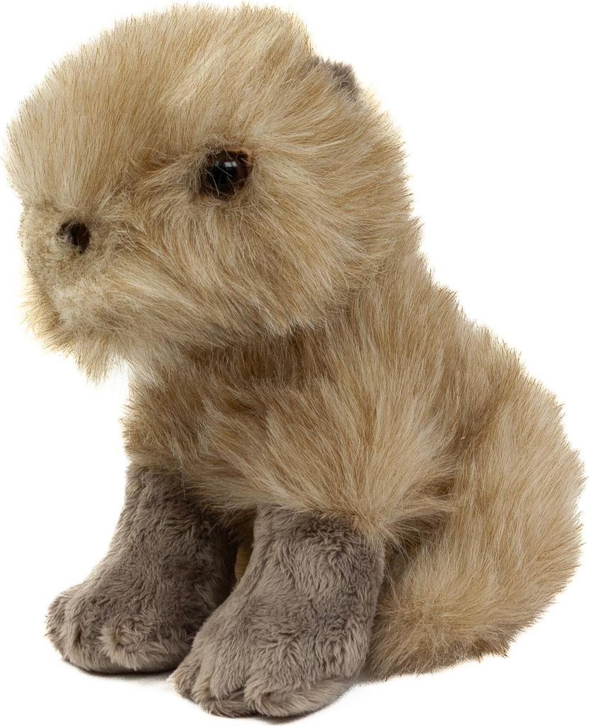 Kuscheltier Capybara Wasserschwein 18 cm