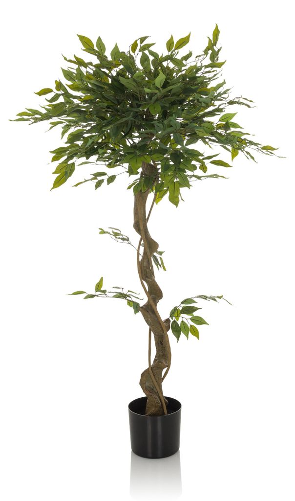 hjh OFFICE Kunstpflanze FICUS I Künstliche Pflanze Birke Höhe 120.0 cm Deko