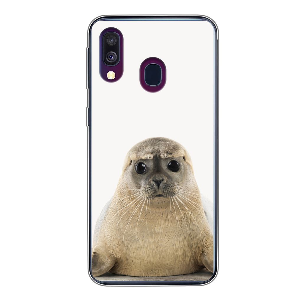 MuchoWow Handyhülle Schutzhülle Hülle für Samsung Galaxy A40 Robbe - Tiere - Kinder - Jungen - Mädchen - Kinder Silikon Softcase Handy Hüll...