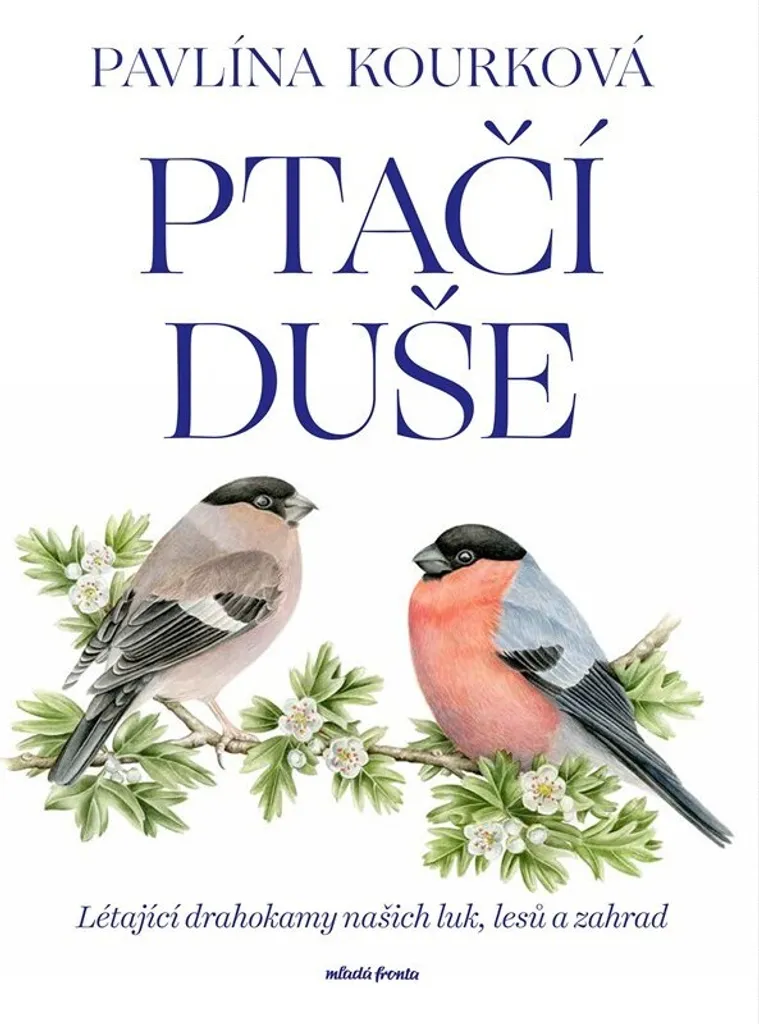 Ptačí duše Pavlína Kourková - Livre illustré d'aquarelles d'oiseaux