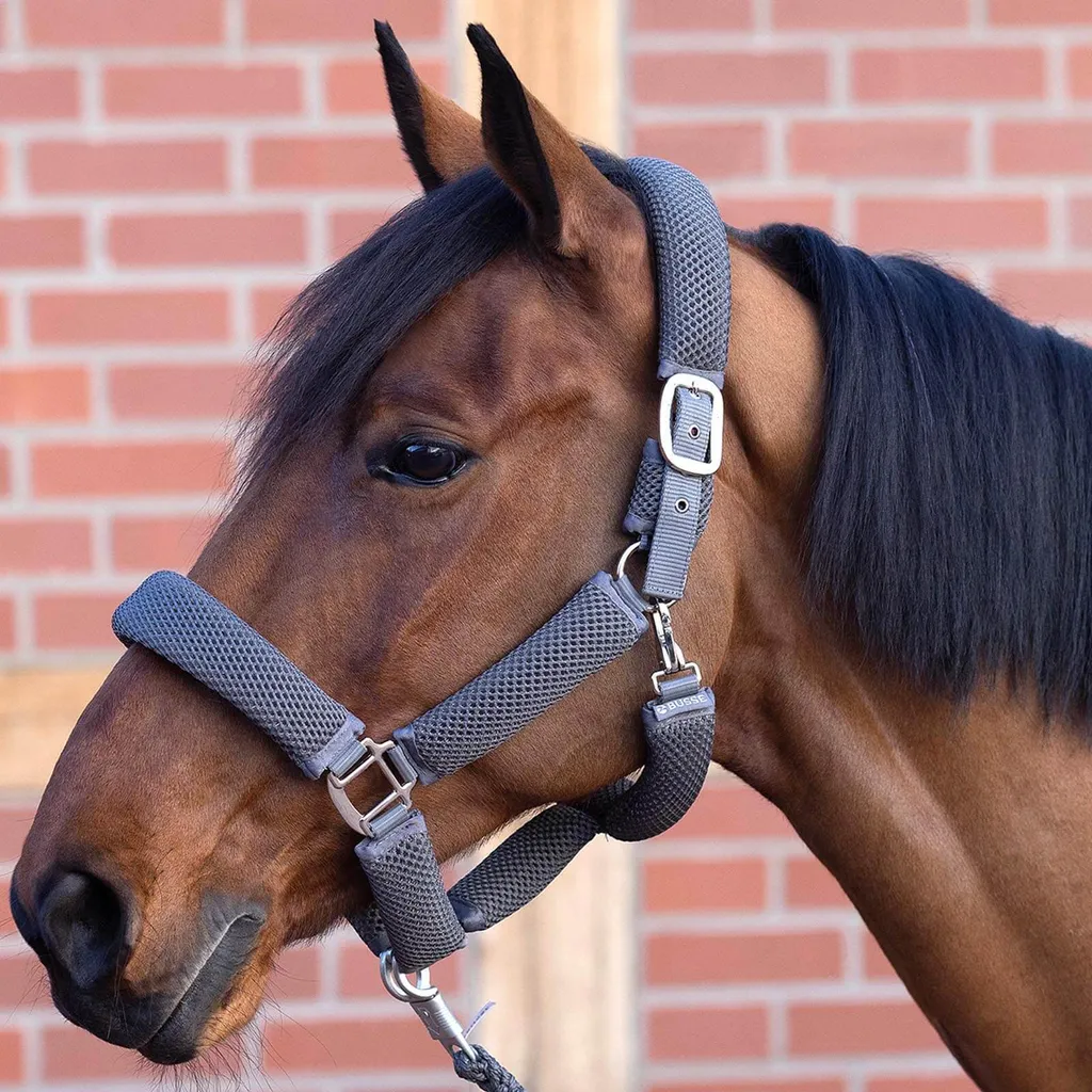 BUSSE Halfter 3D Air Effect Plus Licol Rembourré Gris pour Cheval WBX
