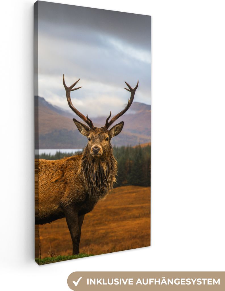 MuchoWow - Leinwandbilder - Hirsche - Berge - Wasser - Landschaft - Tiere - Bäume, Wandbild, Wanddeko Bilder Wohnzimmer, 40x80 cm