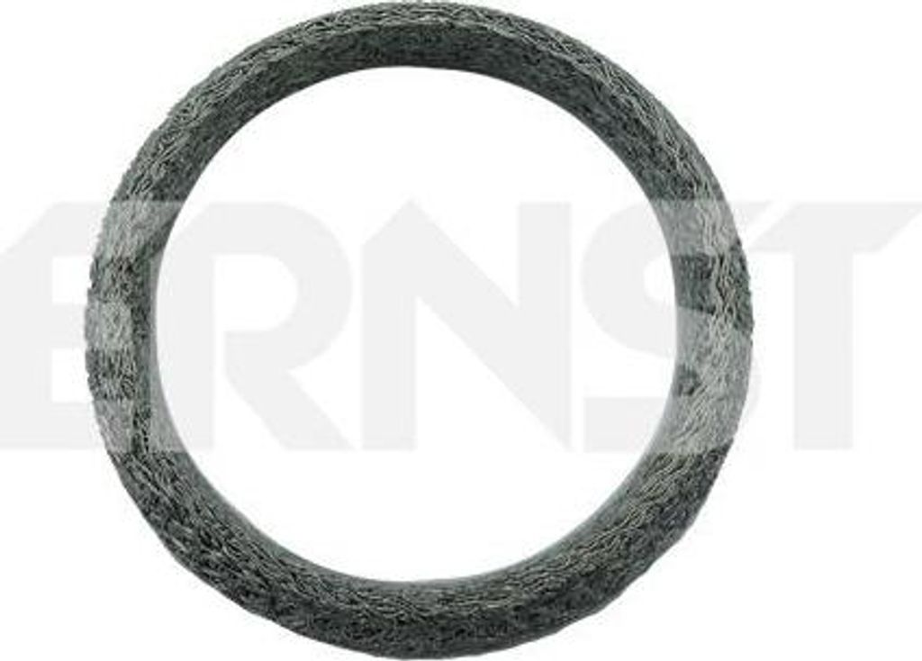 ERNST Dichtring Abgasrohr 490450 für RENAULT SCÉNIC II (JM0/1)