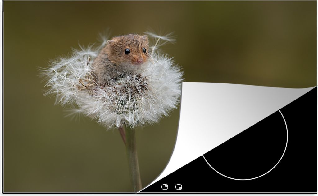 KitchenYeah Herdabdeckplatte Maus - Jung - Blumen , 81x52cm, Küche Deko, Glaskeramikfeld Herdabdeckung, Abdeckplatte fùr Kochfeld