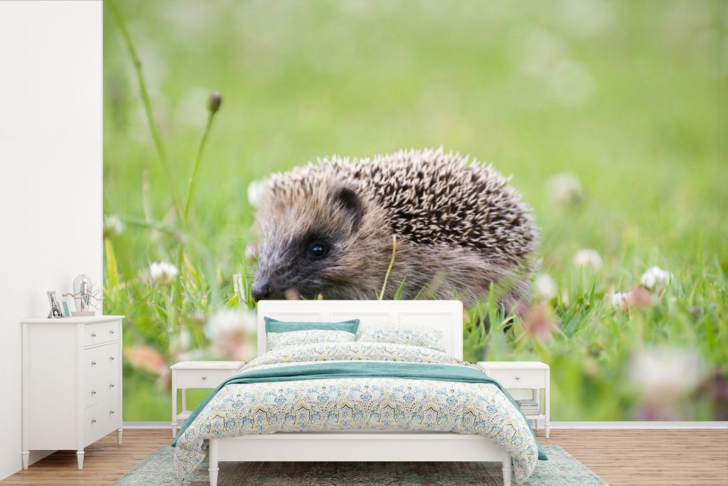 MuchoWow Fototapete für Wohnzimmer oder Schlafzimmer Wandtapete Vinyl Motivtapete Kleiner Igel im Gras - 420x280 cm - Zimmer für Kinder