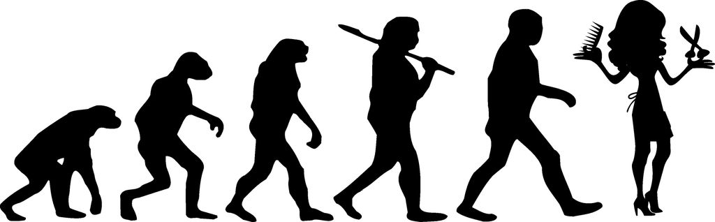 Evolution Friseurin, Friseur, Autoaufkleber