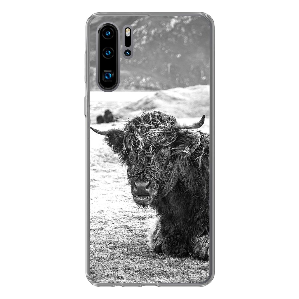 MuchoWow Handyhülle Schutzhülle Hülle für Huawei P30 Pro Schottischer Highlander - Berg - Tiere Silikon Softcase Handy Hülle - Schutzdeckel
