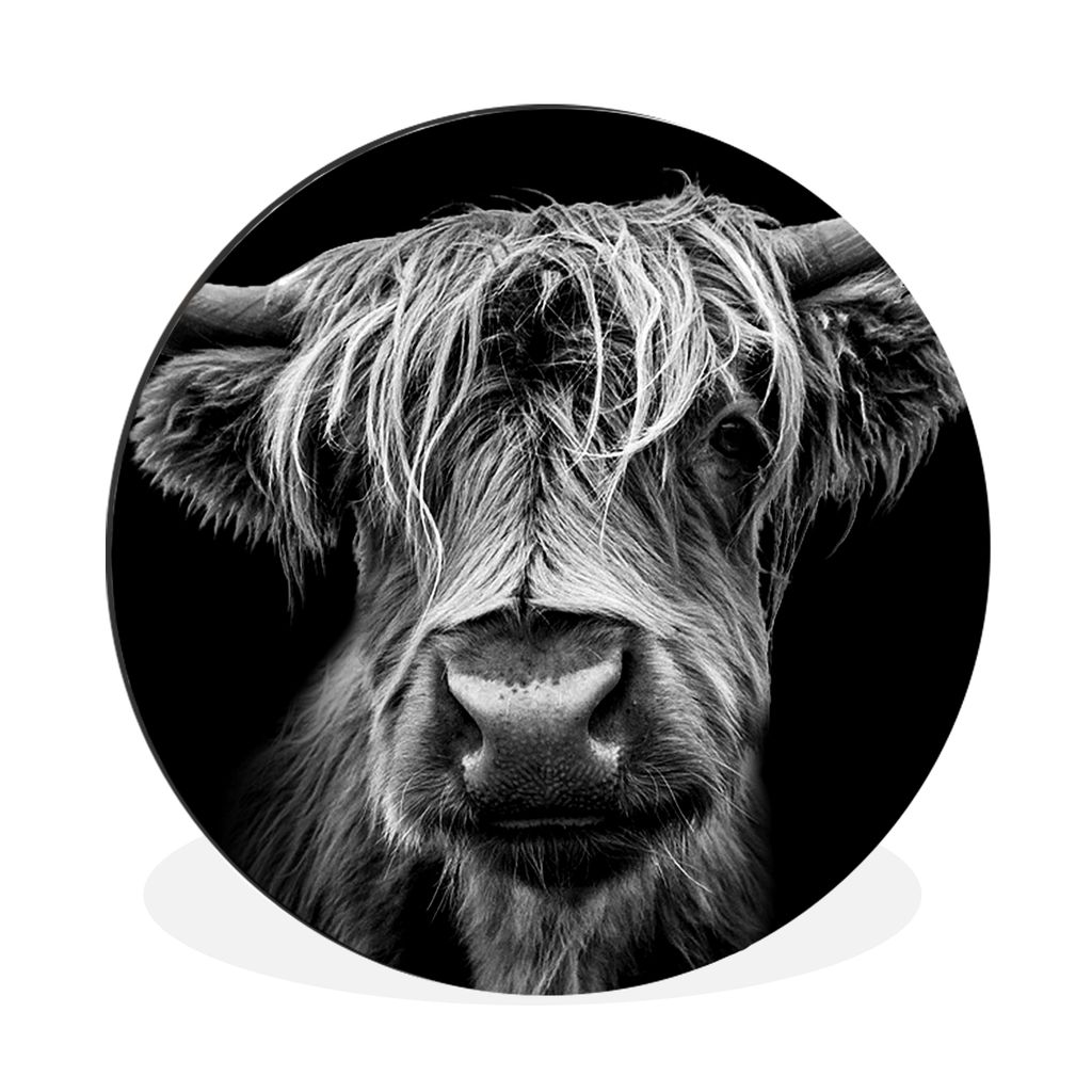 MuchoWow Aluminium Wandkreis Schottischer Highlander - Hörner - Schwarz - Weiß - Kuh - Wild - Tiere Ø 60 cm Wanddeko Modern Wohnzimmer - Wand ...