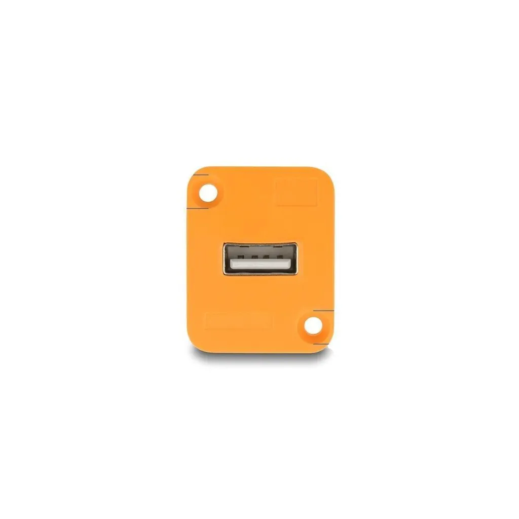 Module USB 2.0 Orange : Raccordement Facile pour Panneau Type-D Delock