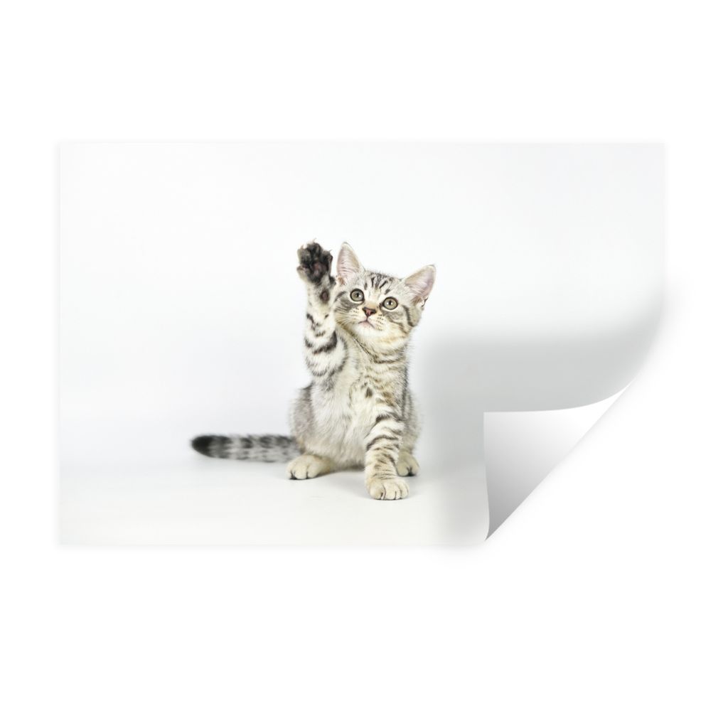 MuchoWow Wandtattoo Wandsticker Wandaufkleber Kätzchen - Pfote - Weiß - Mädchen - Kinder - Jungen - Kind 90x60 cm Selbstklebend und Reposition...