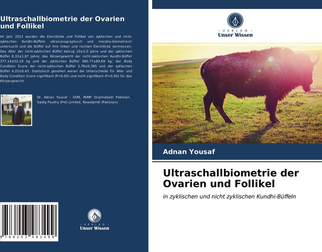 Ultraschallbiometrie der Ovarien und Follikel