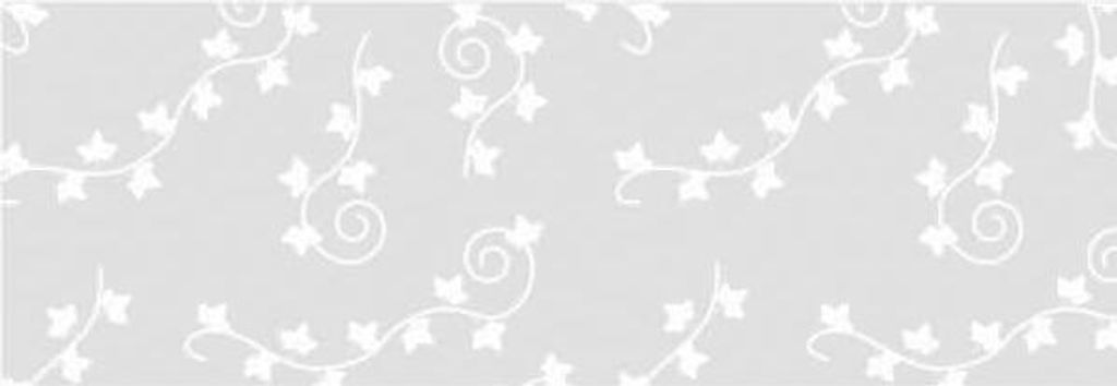 Transparentpapier 115g/qm A4 VE=25 Blatt White Line Efeu