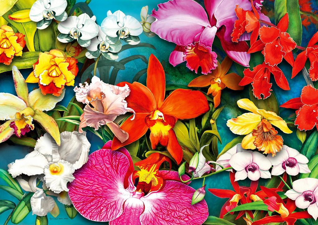 ENJOY Dschungel Orchidee Puzzle 1000 Teile