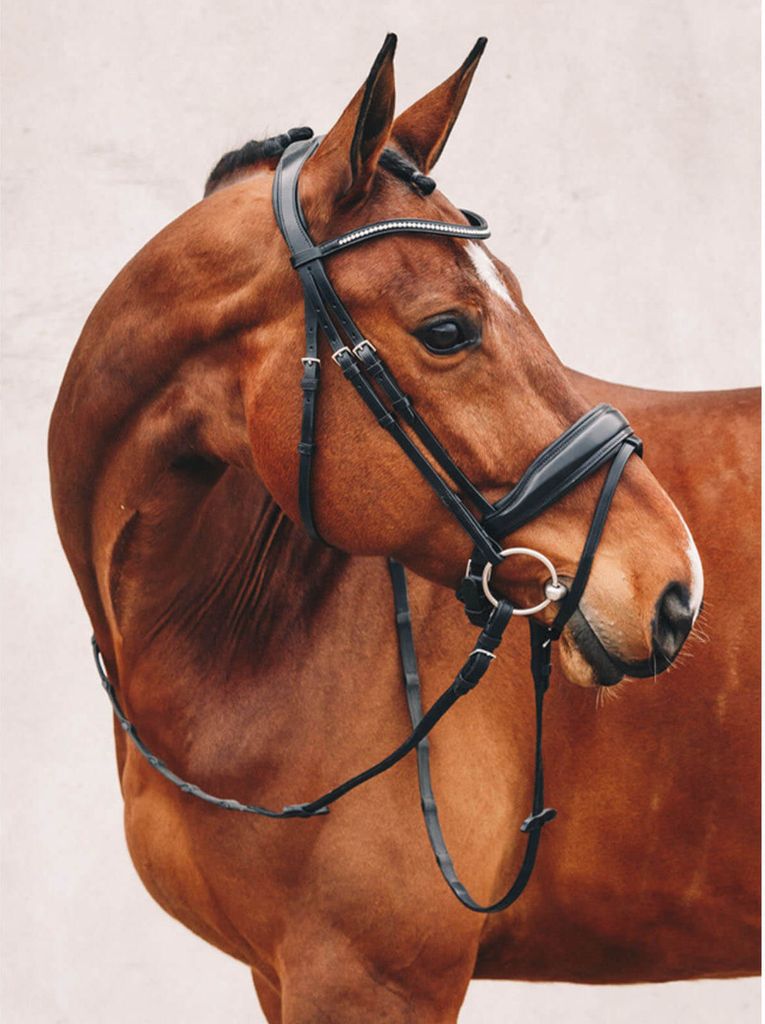Schockemöhle Sport Anatomical Snaffle Stanford Snaffle Obrázek produktu 7