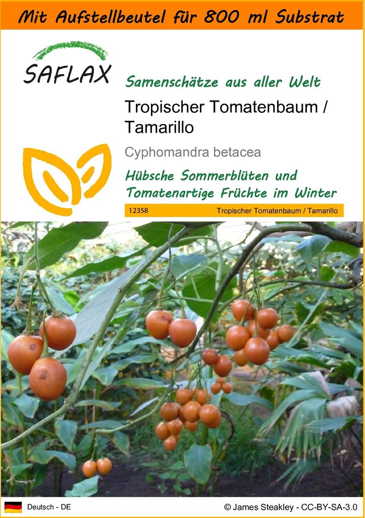 SAFLAX Garden in the bag - Tropischer Tomatenbaum / Produktbild 