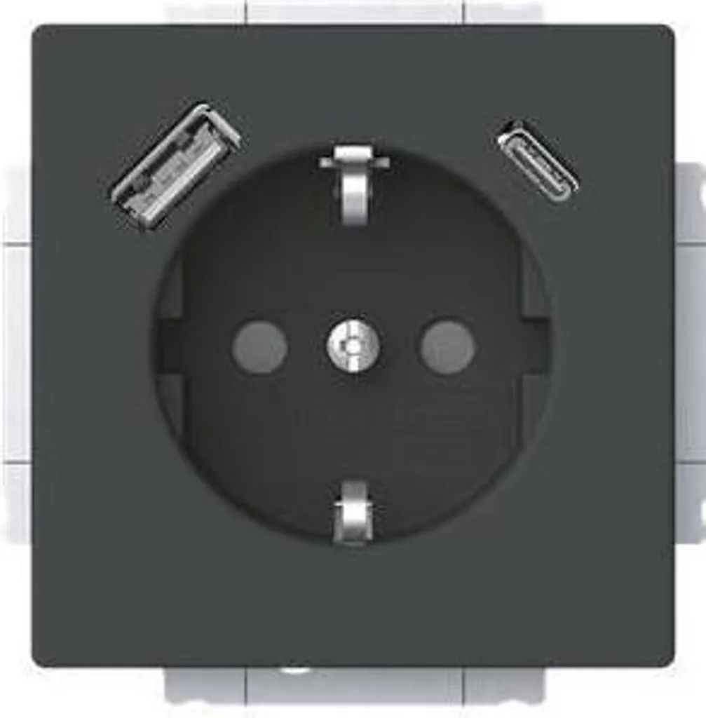 Busch-Jaeger Prise SCHUKO 20 EUCB2USBAC-885 avec USB A et C 2CKA002011A6312 - 2