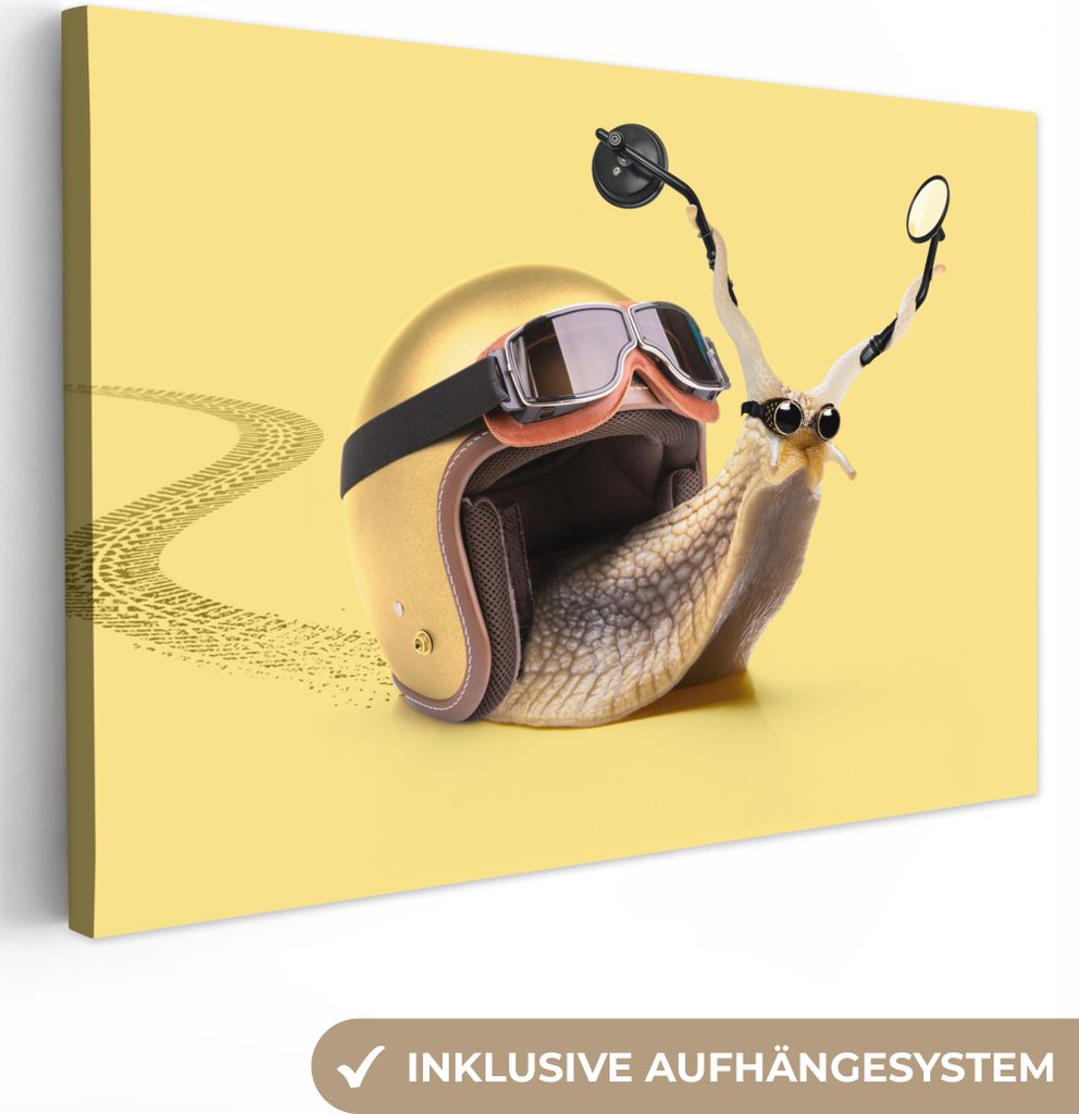 OneMillionCanvasses - Leinwandbilder - 150x100 cm, Schnecke - Tiere - Helm - Gelb - Spiegel, Wandbilder Kunstdruck Wanddekoration - Foto auf Lein...