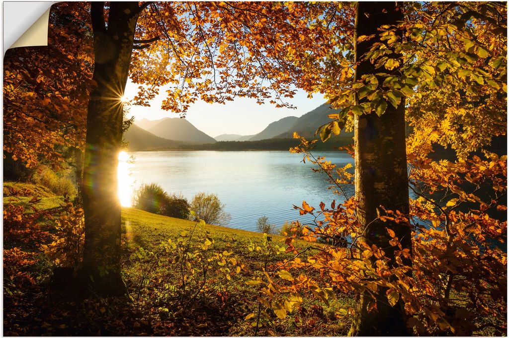 ARTland Wandbild, selbstklebend Herbst am Sylvensteinsee Größe: 60x40 cm