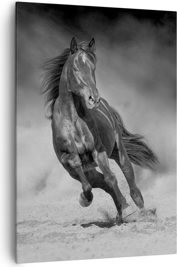 Bild auf Leinwand - Leinwandbild - Einteilig - Pferd Galopp dynamisch - 70x100cm - Wand Bild - Wanddeko - Wandbilder - Leinwanddruck - Wanddekorati...