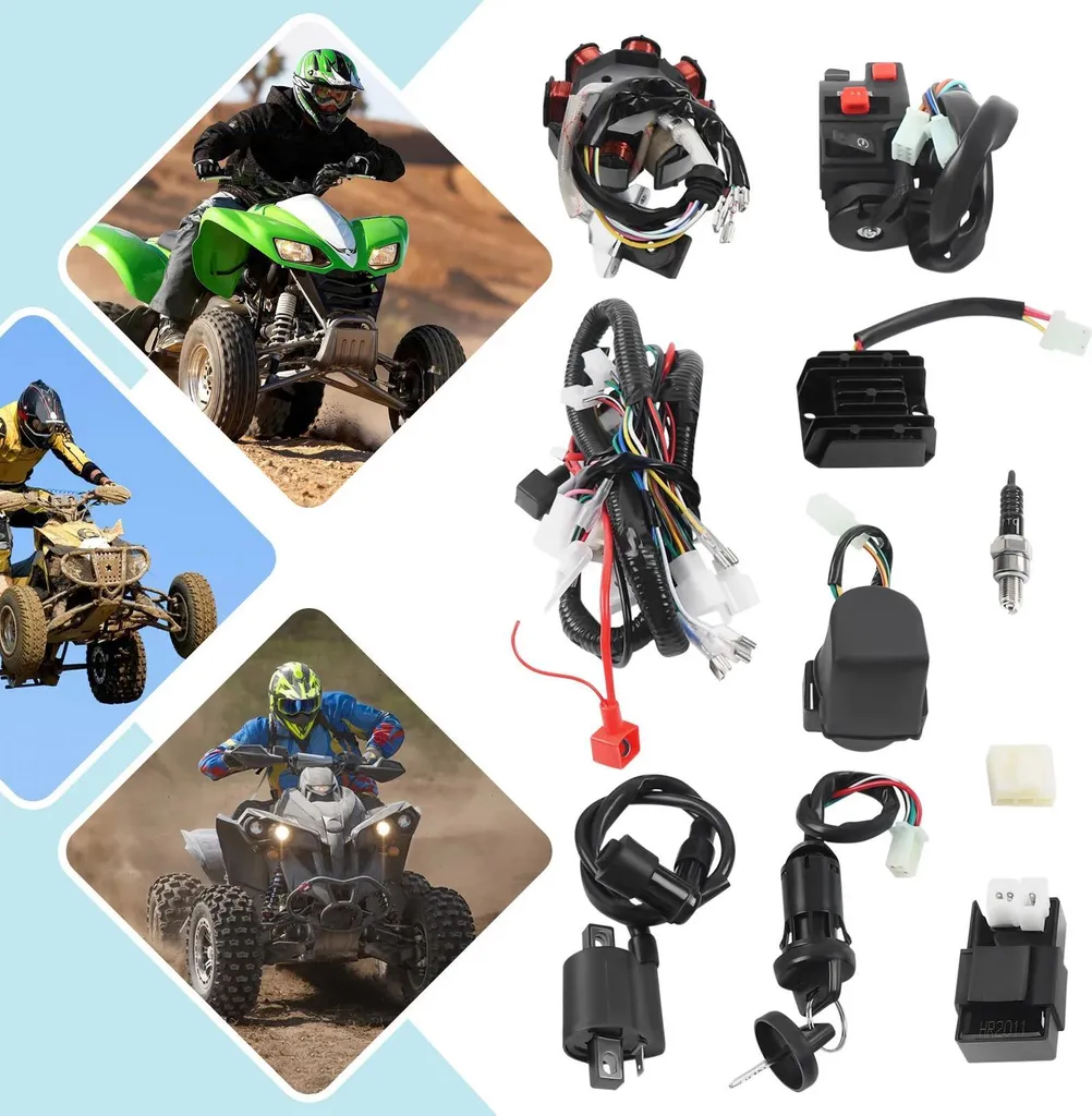 Câblage complet de remplacement pour Quad 200cc et 250cc avec stator