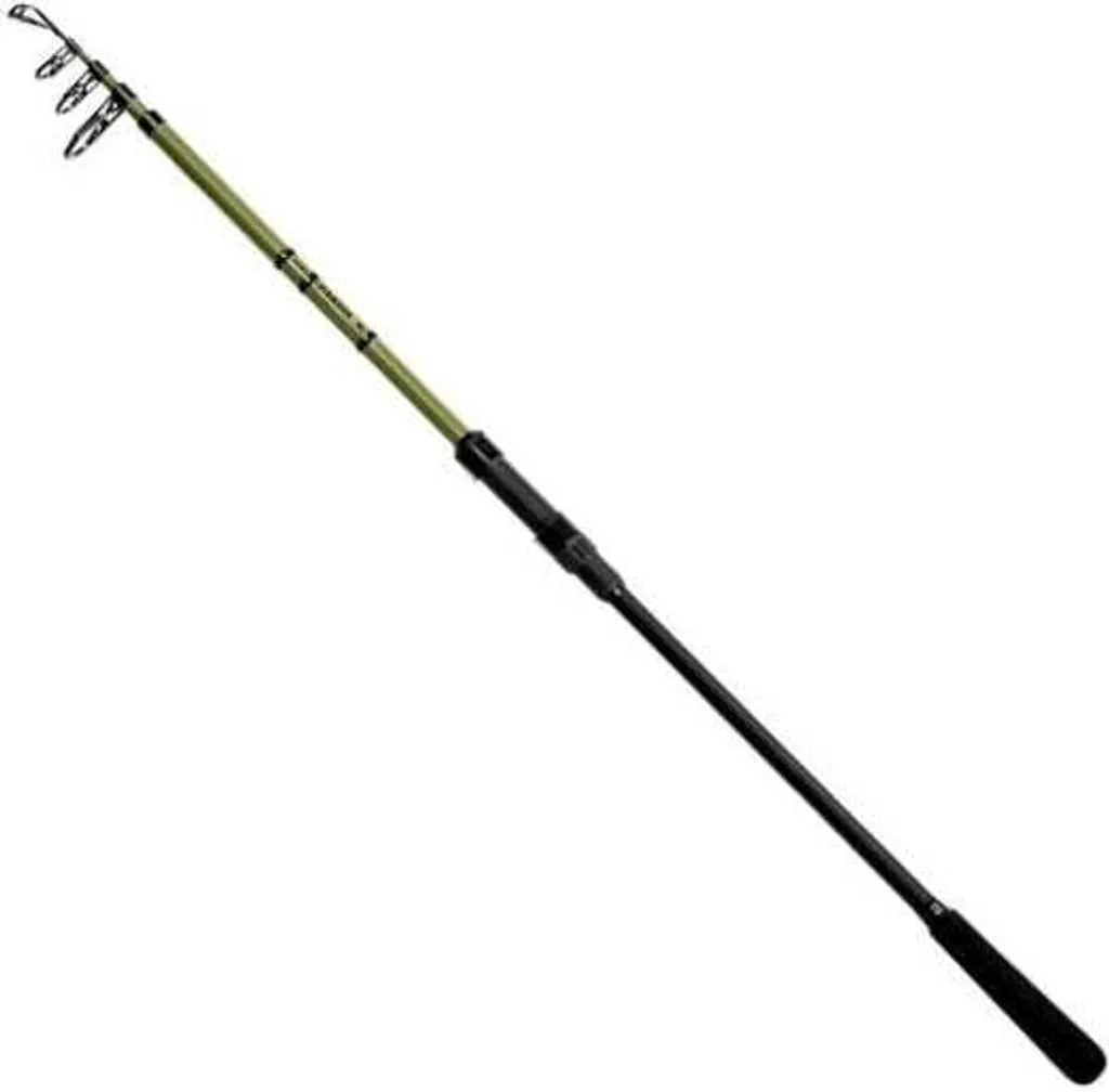 Canne à pêche télescopique Delphin Partisan 270cm 80g Carpe (5 brins)