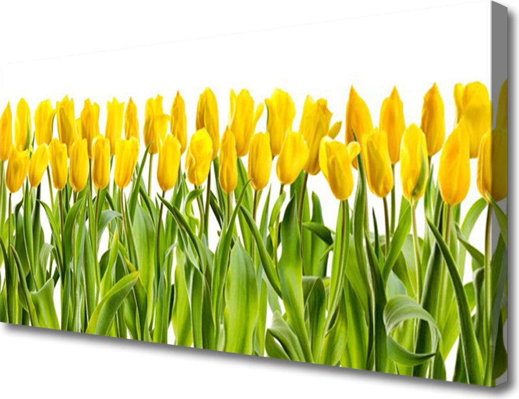Tulup Leinwand-Bilder 100x50 Wandbild Canvas Kunstdruck Tulpen Pflanzen