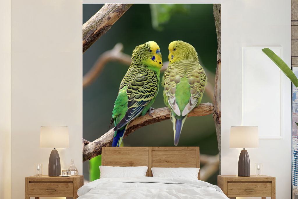 MuchoWow Fototapete für Wohnzimmer oder Schlafzimmer Wandtapete Vinyl Motivtapete Zwei Sittiche in einem Baum - 160x240 cm - Vinyltapete