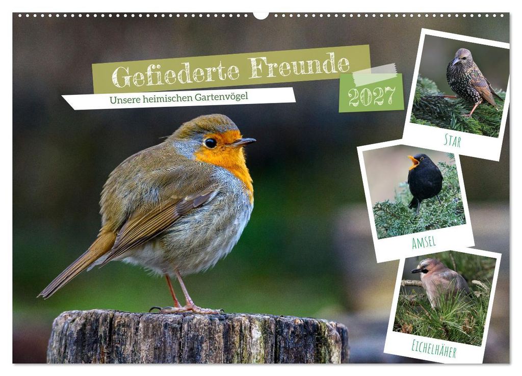 Gefiederte Freunde - Unsere heimischen Gartenvögel (Wandkalender 2027 DIN A2 quer), CALVENDO Monatskalender
