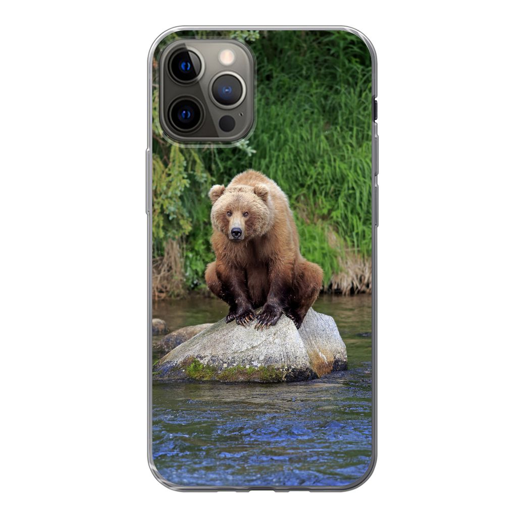 MuchoWow Handyhülle Schutzhülle Hülle für iPhone 13 Pro Bär - Stein - Tier Silikon Softcase Handy Hülle - Handy-Tasche