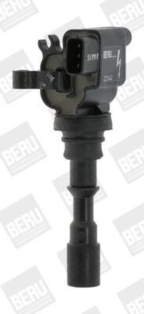 BorgWarner (BERU) ZS542 Zündspule 12V für HYUNDAI TERRACAN (HP) für KIA SORENTO I (JC)