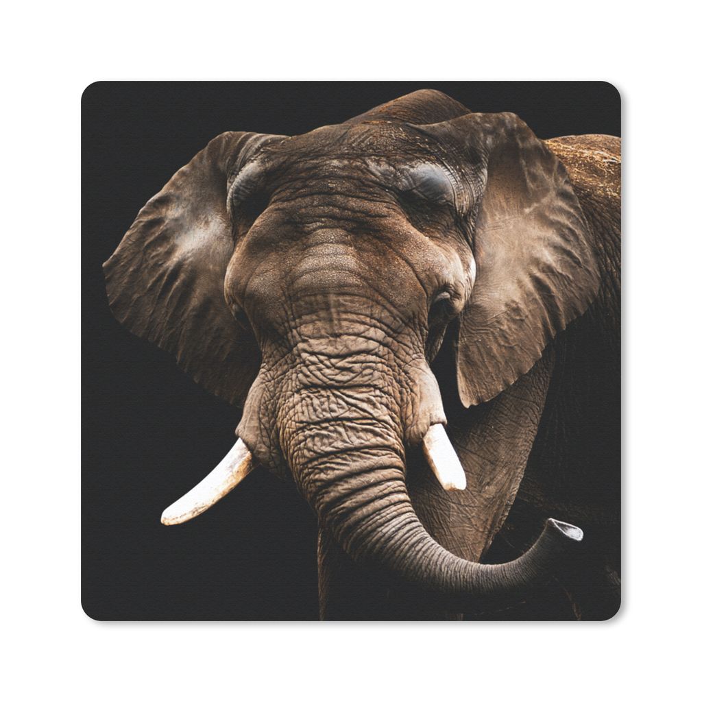 MuchoWow Mauspad Mousepad Elefant - Tiere - Zähne 20x20 cm - Mousepads - Maus Mat - Pad - Mausunterlage - Desk Mat - Bureauartikeln