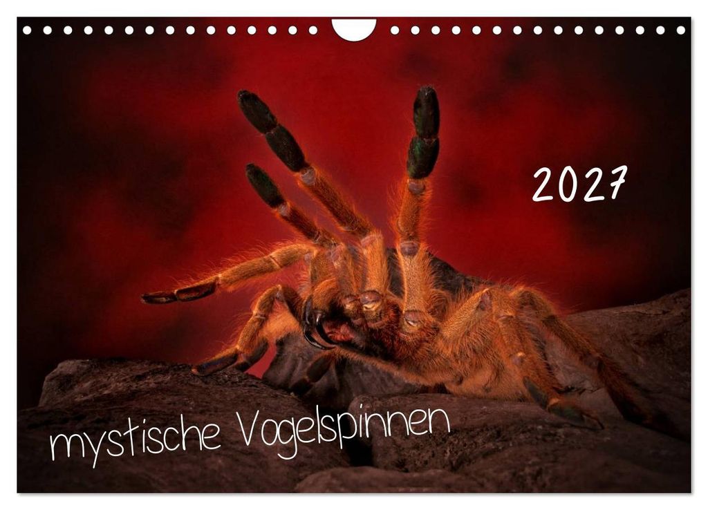 Mystische Vogelspinnen (Wandkalender 2027 DIN A4 quer), CALVENDO Monatskalender