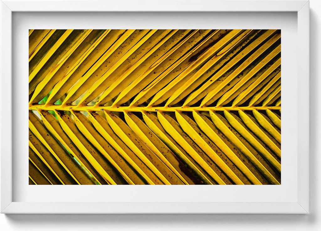 Goldene Blätter einer Pflanze– Wandbild mit Rahmen – Gerahmtes Bild – Wanddekoration – 60x40 cm – Schwarz Rahmen