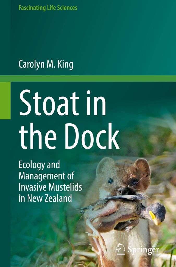 Stoat in the Dock