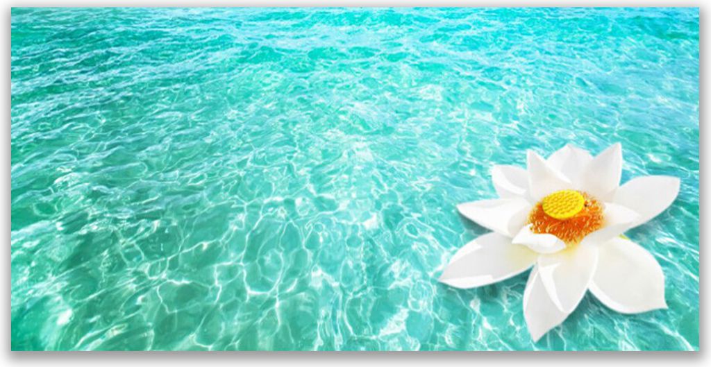 Küchenrückwand aus Glas 140x70cm Spritzschutz Wasser Blume Kunst