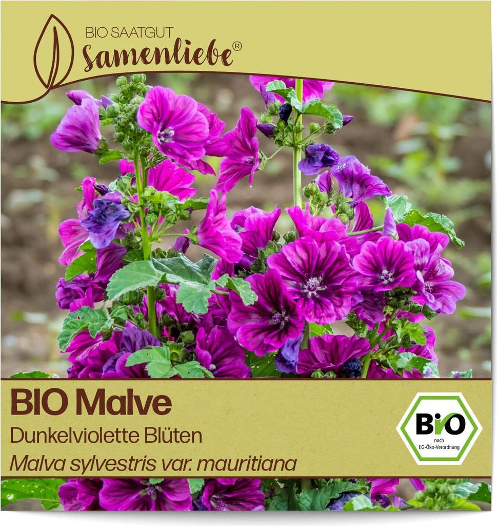 Samenliebe  Malve Samen alte Sorte Dunkelviolette Blüten Produktbild 