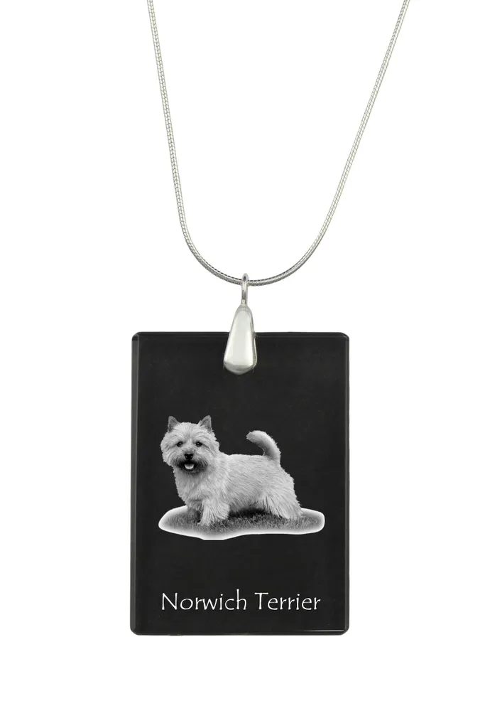 Regalo Unico Norwich Terrier: Collana Argento e Cristallo con Foto Cani - 1
