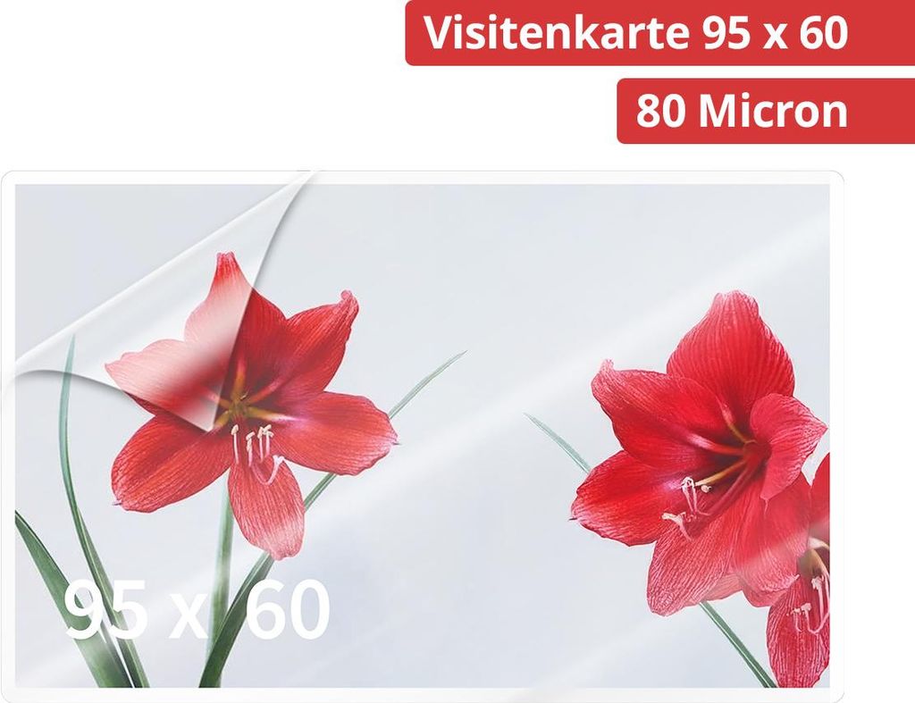 Olympia Laminierfolien Visitenkarte, 100 Stück 80 mic