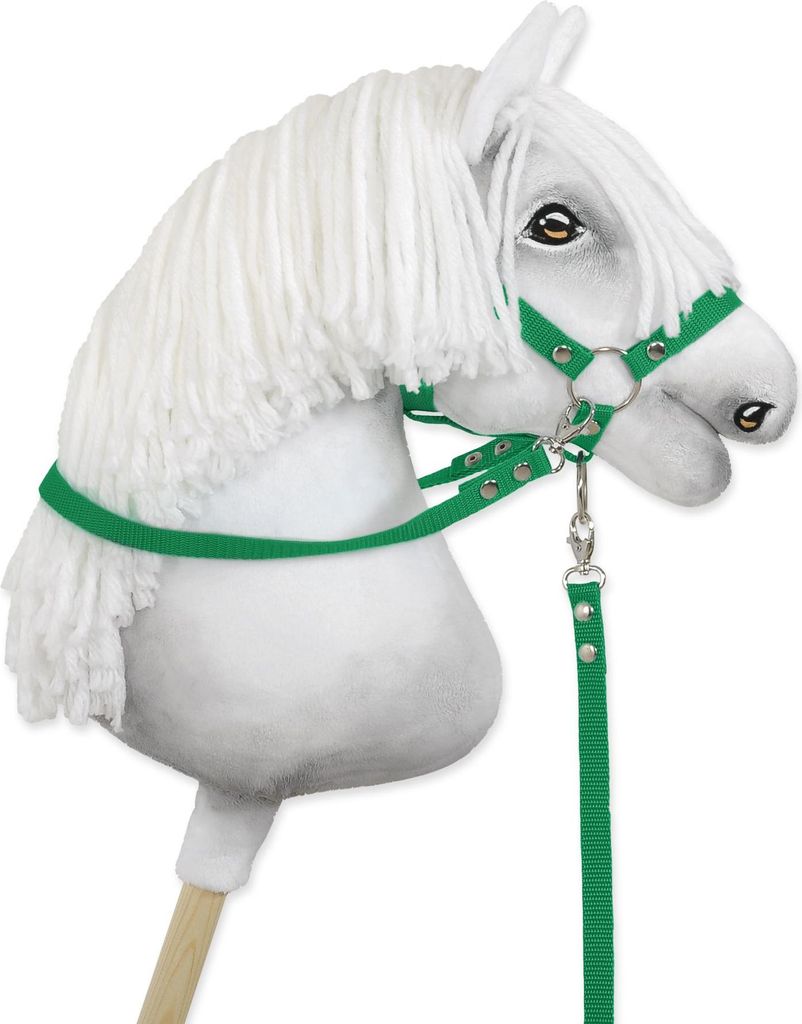 Redini Hobby Horse - verdi Immagine del prodotto 