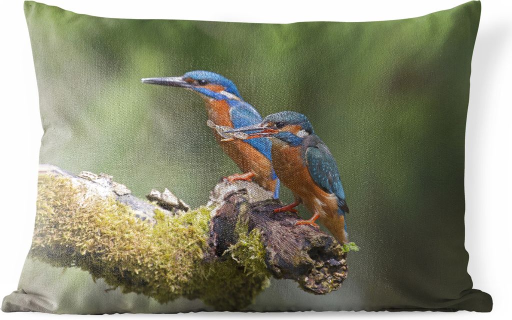 MuchoWow Outdoor Kissen - Eisvogel - Fisch - Zweig - 50x30 cm - Wetterfest - Lounge Kissen - Sofa kissen - Wohnzimmer Dekoration