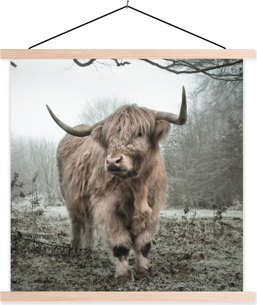MuchoWow Textilposter Schottisches Hochlandrind - Wald - Nebel - Kuh - Tiere - Natur 60x60 cm mit holzfarbenen Rahmen - Wanddekoration